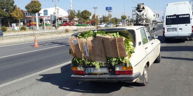 Otomobilin İçini Ve Dışını Marul Doldurdu