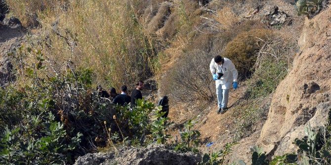 Yaşadığı Kayalıklar Eceli Oldu