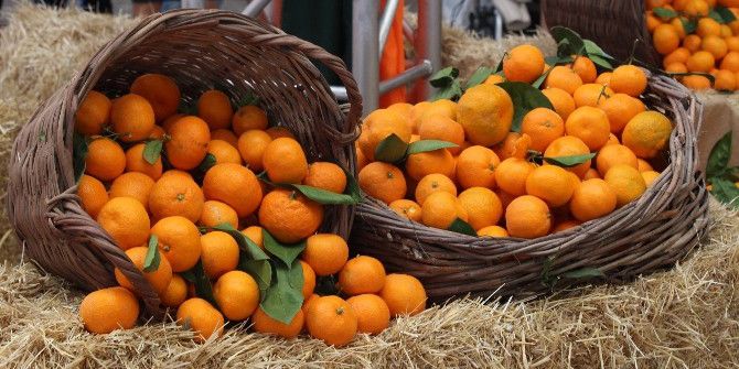 17. Seferihisar Mandalina Şenliği’nde Renkli Görüntüler Oluştu