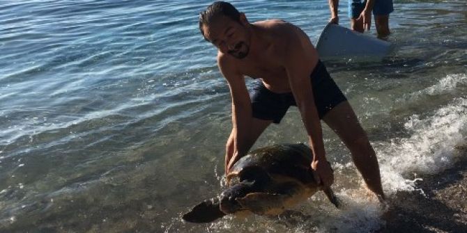 Yaralı Carettayı Tatilciler Kurtardı