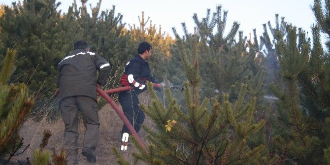 Yozgat’ta Çıkan Orman Yangını Büyümeden Söndürüldü