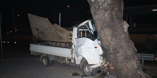 Ağaç Olmasaydı Metro İstasyonuna Girecekti...