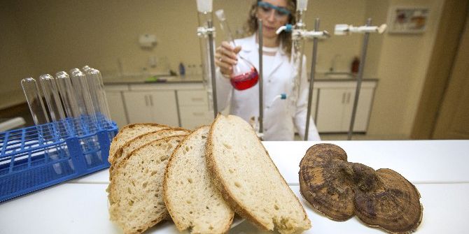 Mucize Mantar Artık Ekmeğe Giriyor