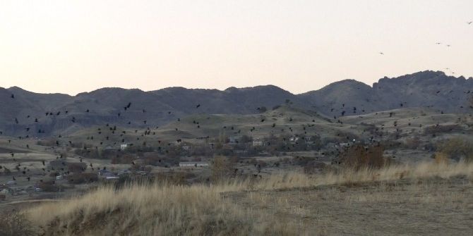 Kargaların Büyüleyici Dansı