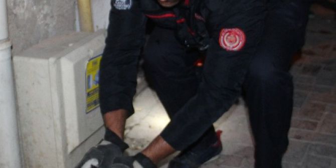 Yangında Mahsur Kalan Kediyi İtfaiye Kurtardı