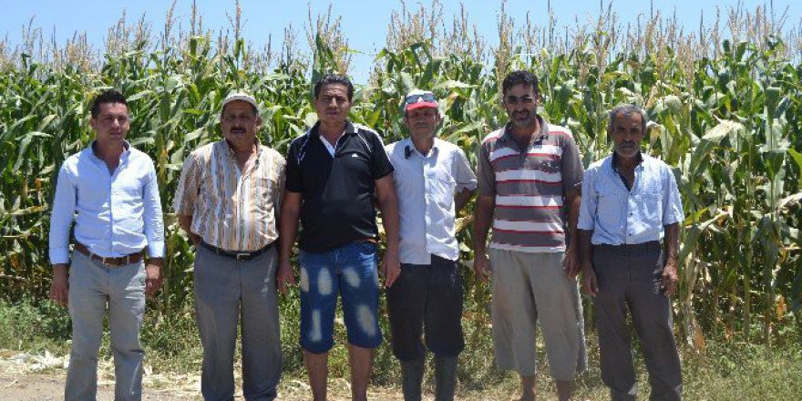 Fethiyeli Çiftçilerin Sulama Suyu Sıkıntısı İdddiası