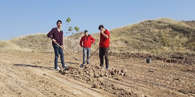 Ted Öğrencileri Harçlıklarıyla Fidan Dikti