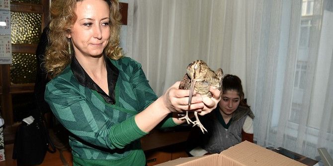 Tam Da Yerine Düştü