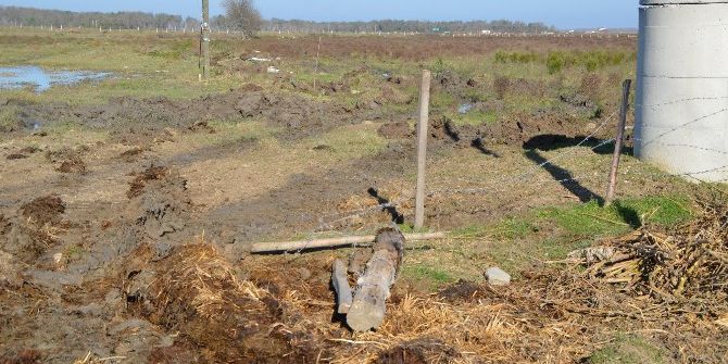 Samsun’da Mera İşgaline Son Verildi