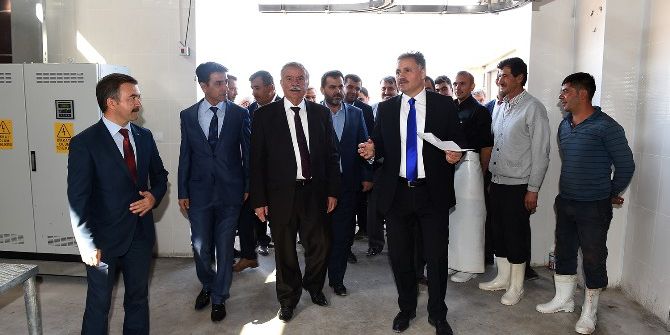 Doğanşehir Mezbahanesi Hizmete Girdi