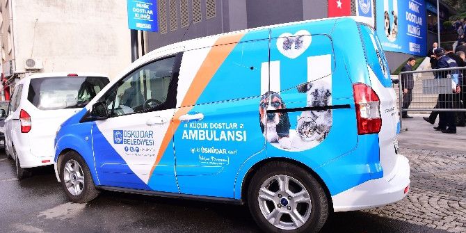 Üsküdar’da Sokak Hayvanlarına Özel Klinik Açıldı