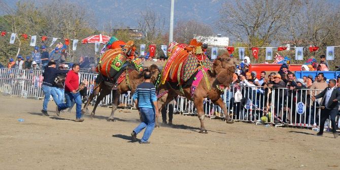 Develer Arenaya Sığmadı