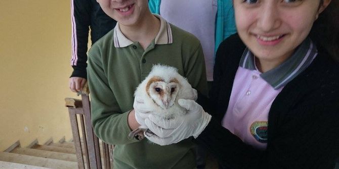 Yavru Baykuşa Öğrenciler Sahip Çıktı