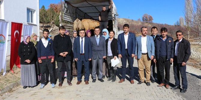 8 Bayan Çiftçiye 48 Damızlık Düve Dağıtıldı