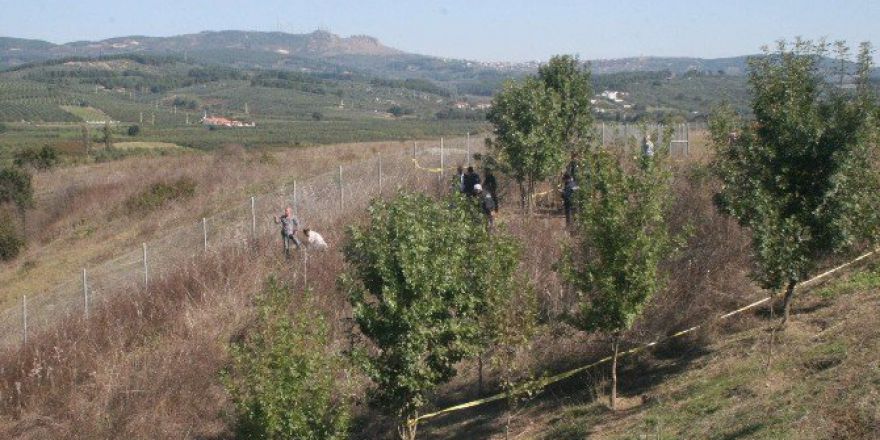 Otoban Cinayeti Sanığı Hakim Karşısında