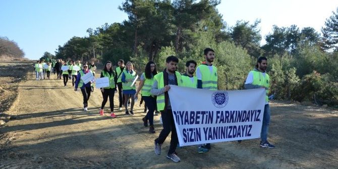 Diyabet Farkındalık Yürüyüşü
