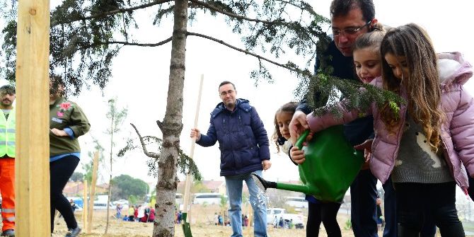 Çocuklar Beylikdüzü’ne 3 Bine Yakın Ağaç Dikti