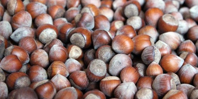 Fiyat Tepkisi, Fındık Fiyatlarını Arttırdı