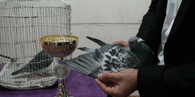 Kızıltepe’de Posta Güvercinleri Festivali Düzenlendi