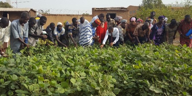 Tika’dan Maş Fasulyesi Yetiştiricilerine Tohum Desteği