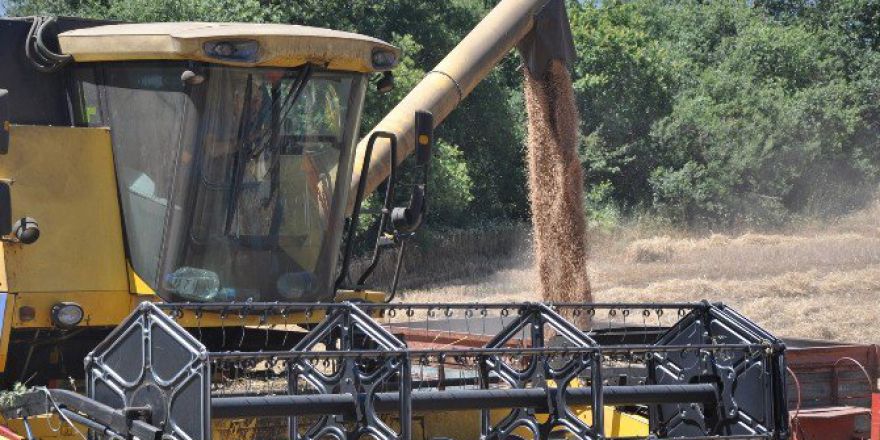 Açıklanan Buğday Fiyatları Çiftçiyi Memnun Etmedi