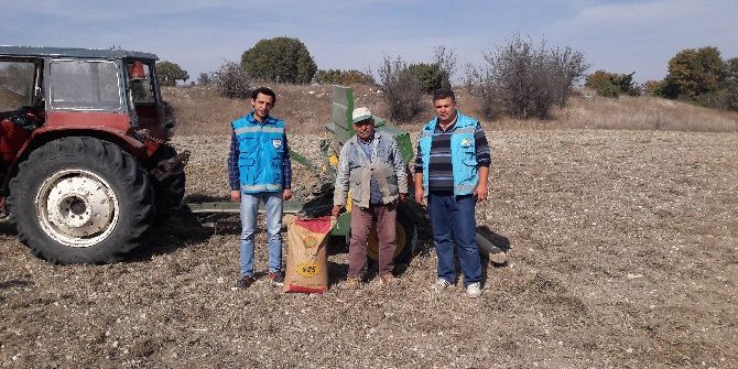 27 Çiftçiye Macar Fiği Tohumu