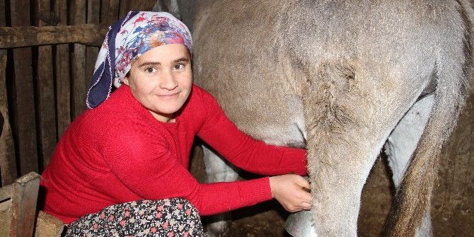 Eşek Sütü Altın Değerinde