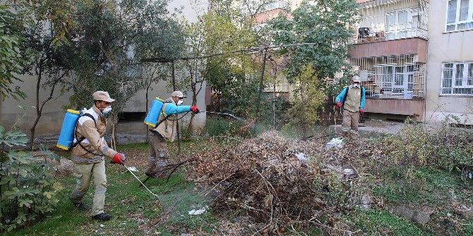 Haliliye Belediyesi Sivrisinek Kışlak Mücadelesi Başlattı