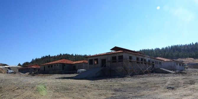 Hayvan Barınağı Ve Doğal Yaşam Alanı İnşaatında İnceleme