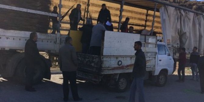 Sason’da 14 Bin Ceviz Fidanı Dağıtıldı