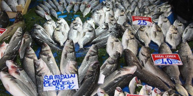 Balık Kırmızı Etle Yarışıyor