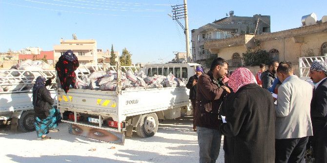 Şanlıurfa’da Ücretsiz Kömür Dağıtımı Başladı
