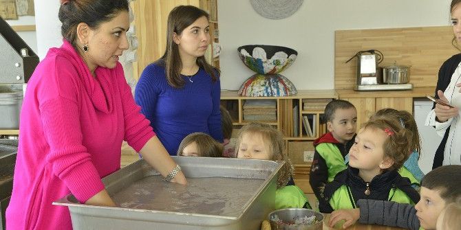 Sukurusu’nun Sevimli Misafirleri