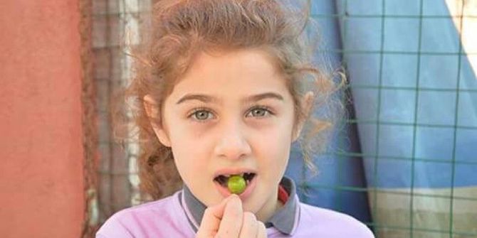 Sakarya’da Erik Ağaçları Meyve Verdi