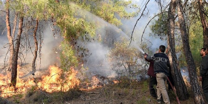 Tarsus’ta Orman Yangını