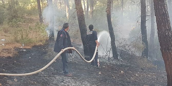 Manavgat’ta İki Ayrı Noktada Yangın