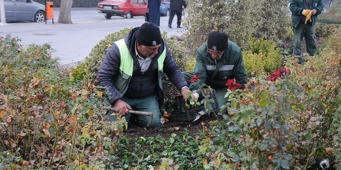 Çorum Belediyesi Kenti Mevsimlik Çiçeklerle Süslüyor