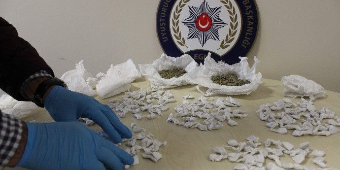 Bursa’da Bonzai Satıcısı Suçüstü Yakalandı