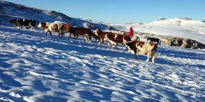 Kar Yağışına Hazırlıksız Yakalanan Yaylacılar Göç Ediyor