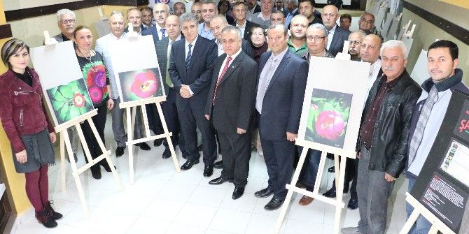 Konder’den Şakayık Sergisi