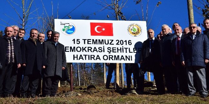 Giresun’da ‘15 Temmuz Şehitler Hatıra Ormanı’ Törenle Açıldı.