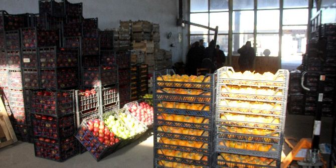 Erzurum Halinde Soğuktan Meyve Ve Sebzeler Dondu