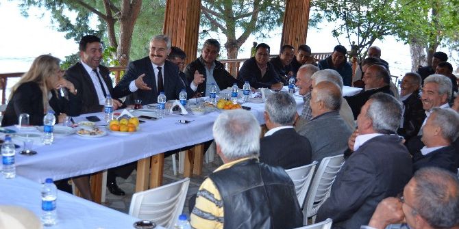 Türkiye’nin En Fazla Bal Ormanı Mersin’de