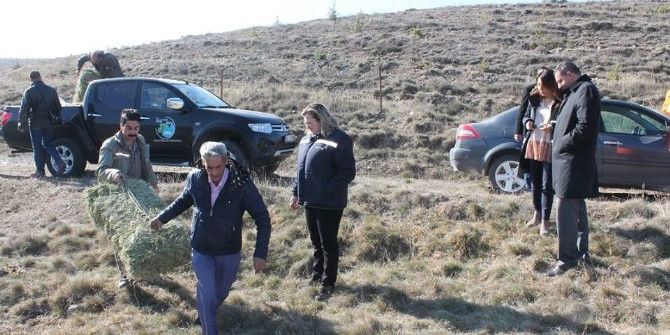 Yaban Hayvanları Unutulmadı