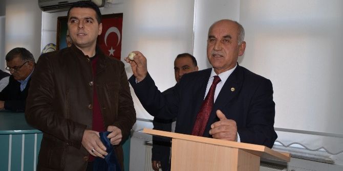 Bafra’da Tütün Bakım Ve İndirme Kuraları Çekildi