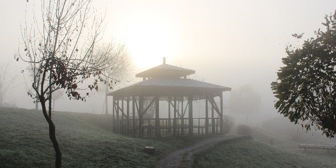 Düzce’de Sis Etkili Oluyor