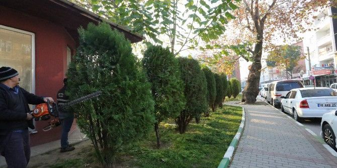 Gürsu’nun Vitrini Güzelleşiyor