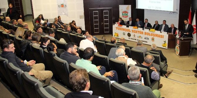 Turunçgil Sektörü Adana’da Buluştu, Sorunlarını Konuştu