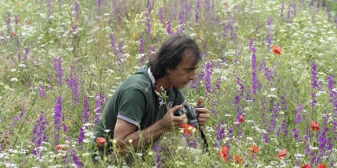 Frig Vadileri Çiçek Açıyor