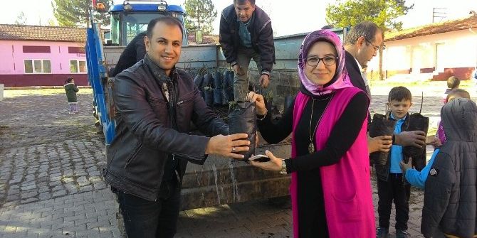Öğretmenlere Ceviz Fidanı Dağıtıldı